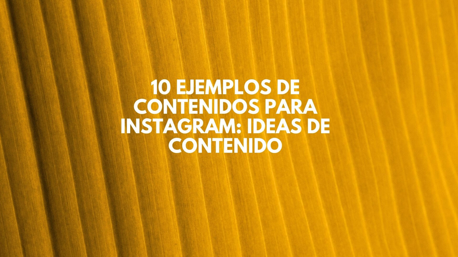 10 Ejemplos de contenidos para Instagram: ideas de contenido