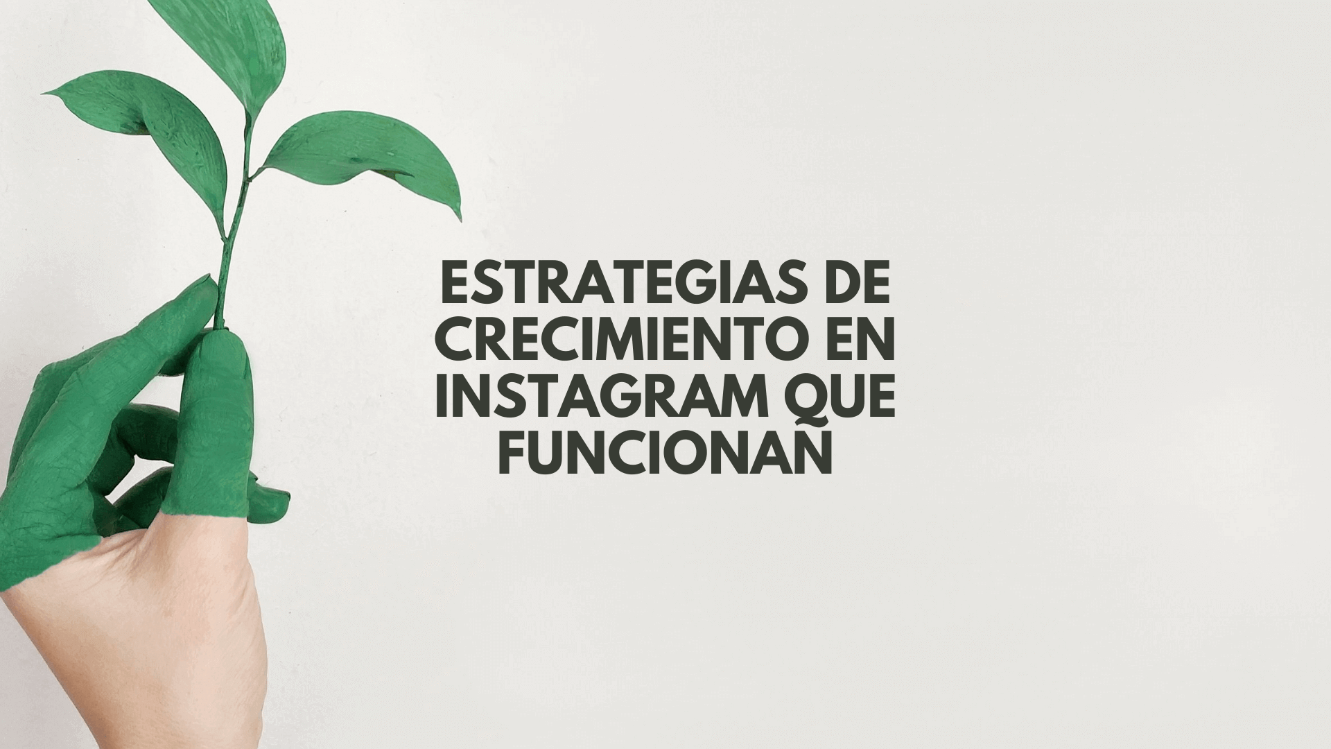 Estrategias de crecimiento en Instagram: pasos y claves para lograrlo